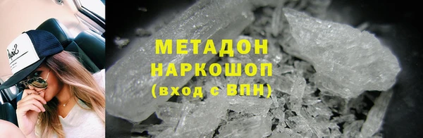 индика Алзамай