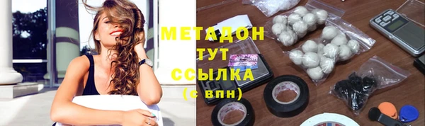 индика Алзамай