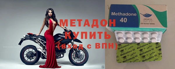 индика Алзамай
